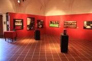 Sala del Capitolo, particolare [3]